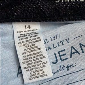 American Eagle 🦅 Artist crop jeans